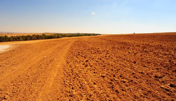 Plowed Field — Stock Photo, Image