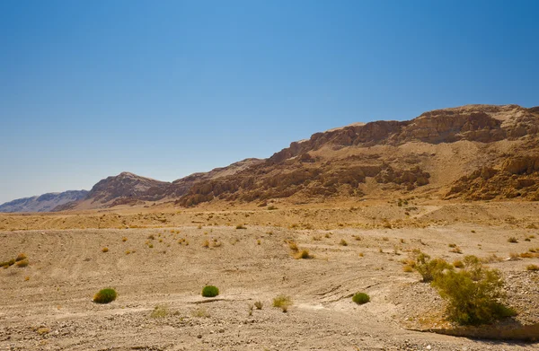 以色列片沙漠 — 图库照片