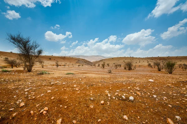 stock image Israel Desert