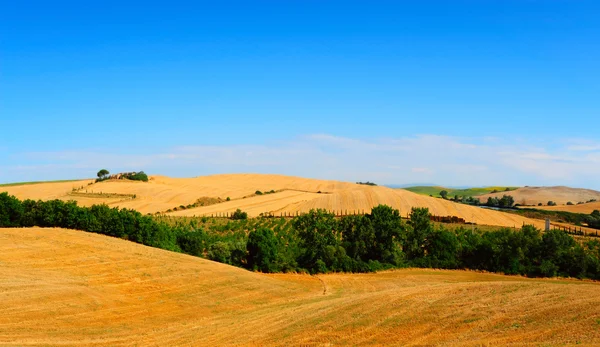 Landskap i Toscana — Stockfoto