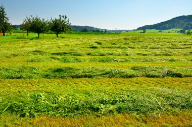 Mown Fields clipart