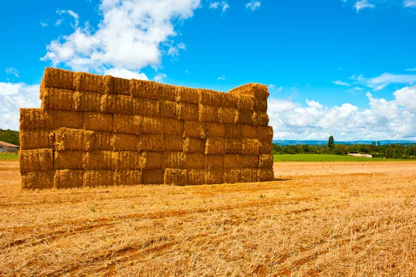 Dry Hay — Stock Photo, Image