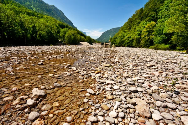 River Bed — Stock Photo, Image