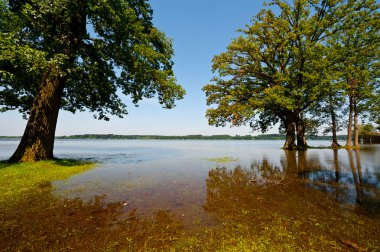 Spring Flooding clipart