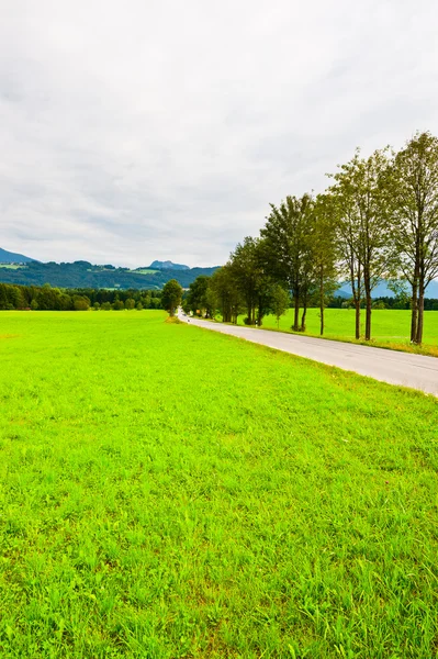 stock image Asphalt Road