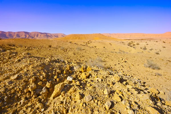 이스라엘 사막 — 스톡 사진