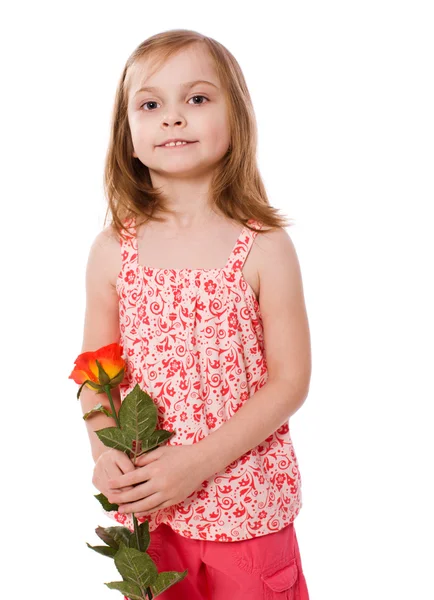 Девочка держит розу — стоковое фото