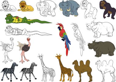 Set of african animals clipart