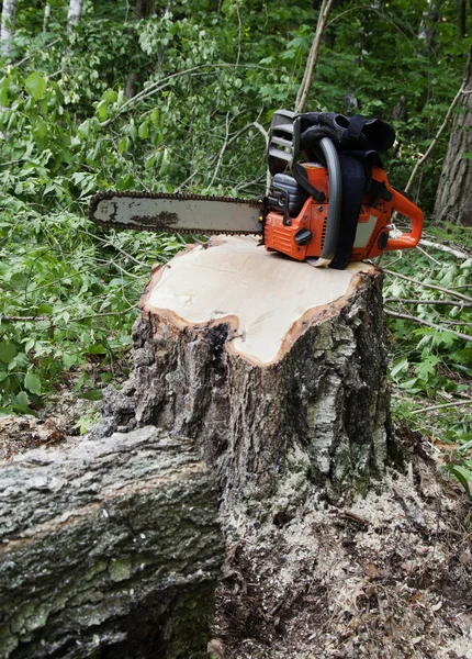 Motorsäge auf einem Baumstumpf — Stockfoto