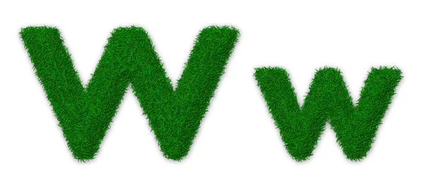 stock image Grassy letter W