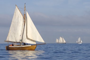 Tender with white sails clipart