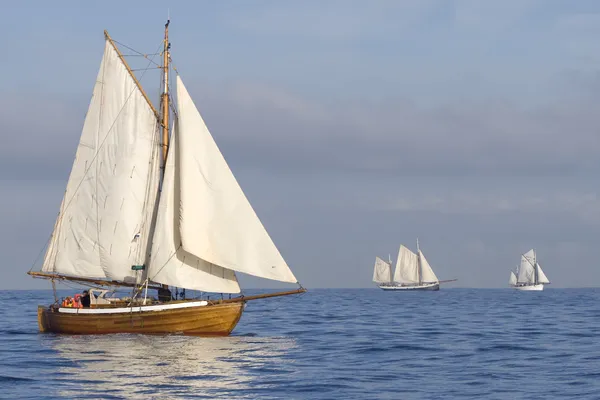 Tender with white sails — Stock Photo, Image