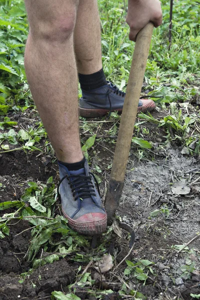 Loosing the soil — Stock Photo, Image