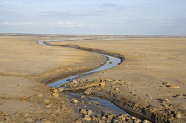 Brook in a deserted land clipart