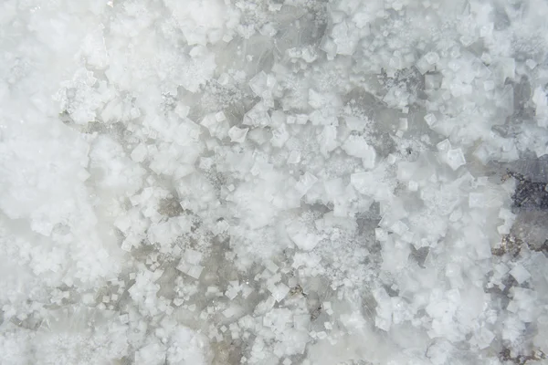 Texture de sel brut — Photo