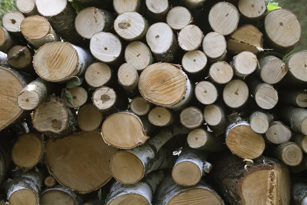 Pilha de madeira fundo — Fotografia de Stock