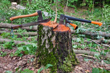 Several hatchets sticked in a tree stump clipart