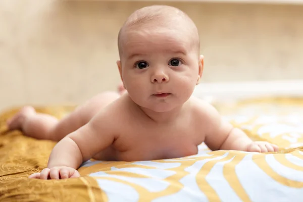 El pequeño bebé —  Fotos de Stock