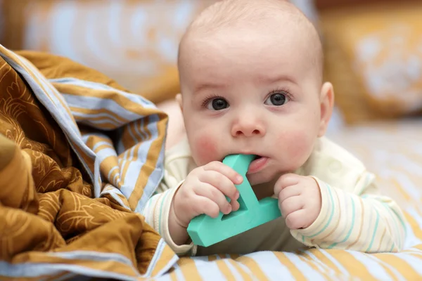Baby boy bites alphabet — Stock Photo, Image