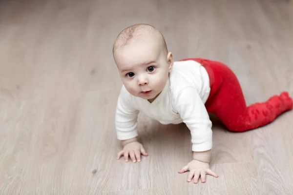 Baby повзучої — стокове фото