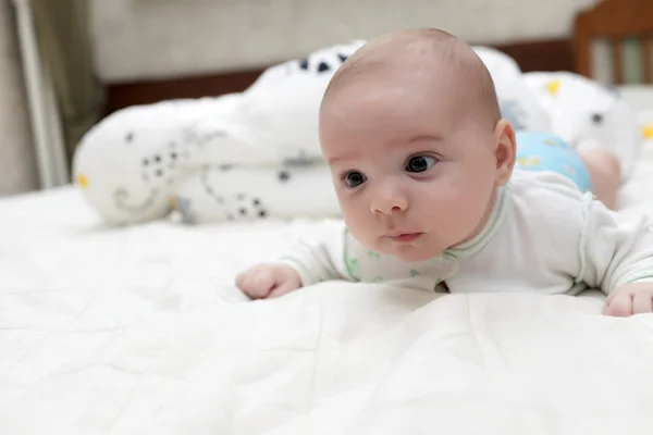 Baby lying on his belly — Stock Photo, Image