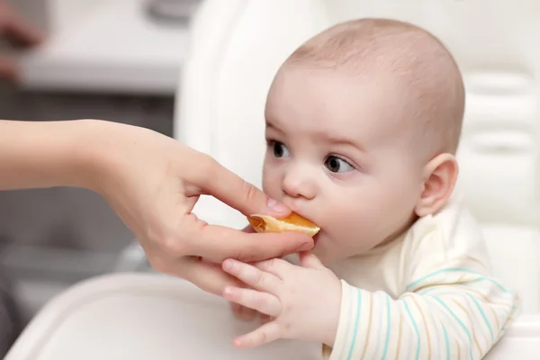 Dítě jíst zadní rozsocha sedla Orange — Stock fotografie