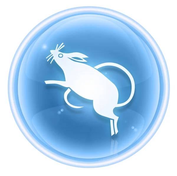 Rat Zodiac icon ice, isolated on white background. — Stock Photo, Image
