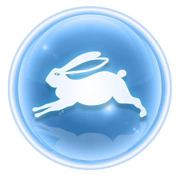 Conejo icono del zodíaco hielo, aislado sobre fondo blanco . —  Fotos de Stock