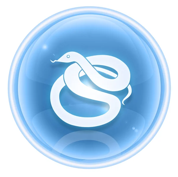 Snake Zodiac ícone de gelo, isolado no fundo branco . — Fotografia de Stock