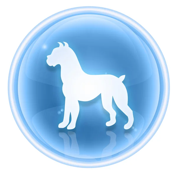 Pes zvěrokruhu ikony ledu, izolovaných na bílém pozadí. — Stock fotografie