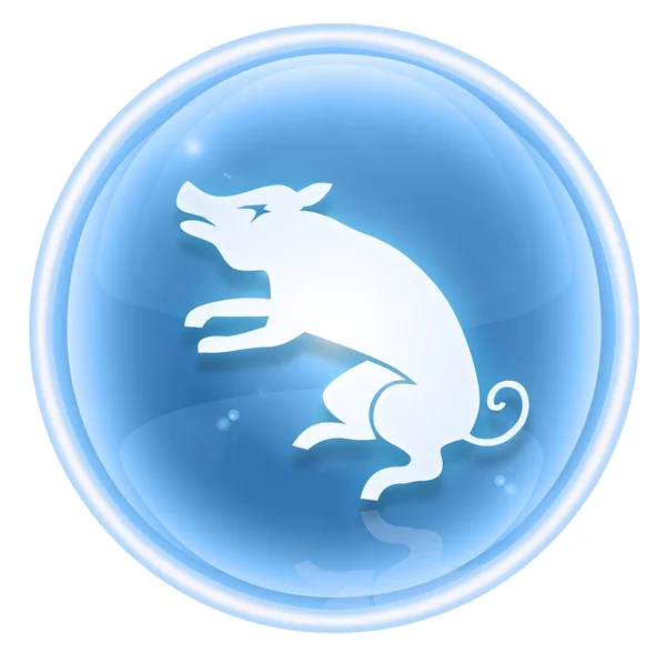 Cochon icône Zodiaque bleu, isolé sur fond blanc . — Photo