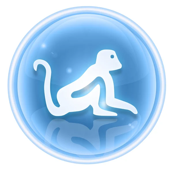 Monkey zvěrokruhu ikony ledu, izolovaných na bílém pozadí. — Stock fotografie