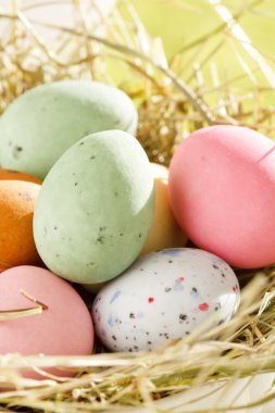 çikolata Paskalya yumurtaları yuvanın içinde