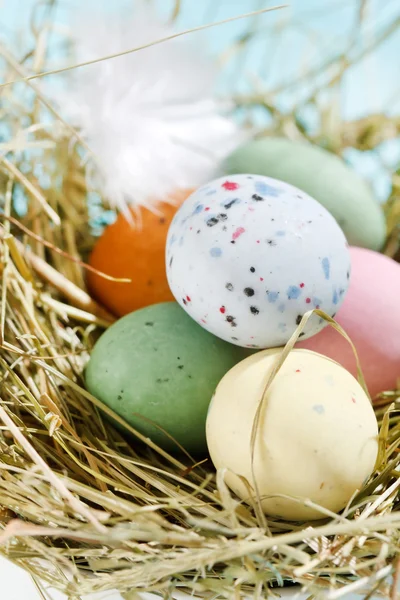 Пасхальные шоколадные яйца в гнезде — стоковое фото