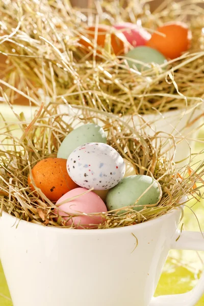 复活节巧克力蛋在巢 — 图库照片