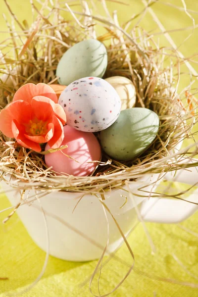 Ovos de chocolate de Páscoa no ninho — Fotografia de Stock