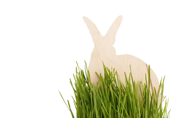 stock image Easter rabbit on grass