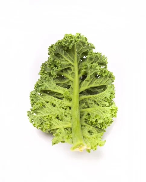 stock image Fresh kale