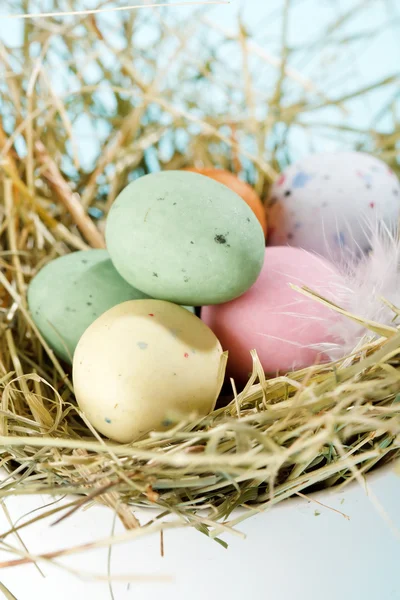 Σοκολάτα Πάσχα αυγά στη φωλιά — Φωτογραφία Αρχείου