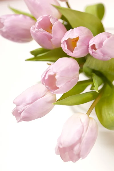 Tulipani rosa nel vaso — Foto Stock