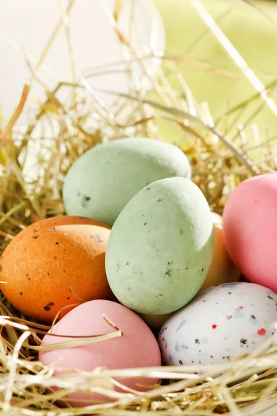 Huevos de chocolate de Pascua en el nido —  Fotos de Stock