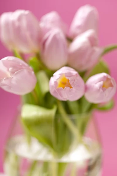 Różowe tulipany w wazonie — Zdjęcie stockowe