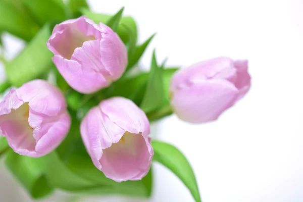Pink tulips in the vase — Stock Photo, Image