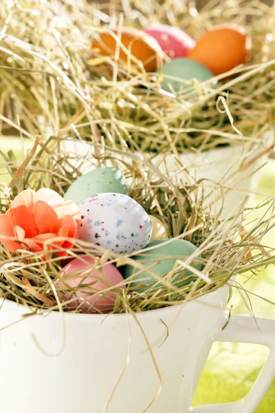 둥지에서 부활절 초콜릿 달걀 — 스톡 사진