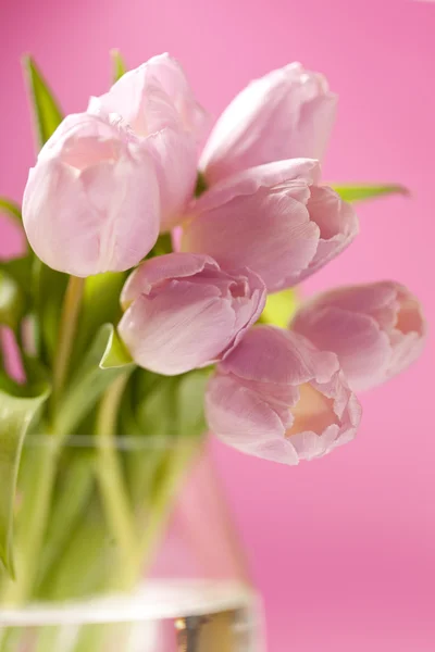 Rózsaszín tulipánok a vázában — Stock Fotó