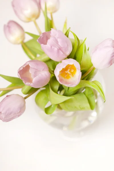 Розовые тюльпаны в вазе — стоковое фото