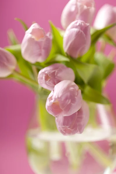 Rosa tulpaner i vasen — Stockfoto