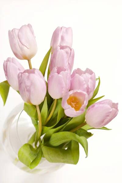 Rózsaszín tulipánok a vázában — Stock Fotó