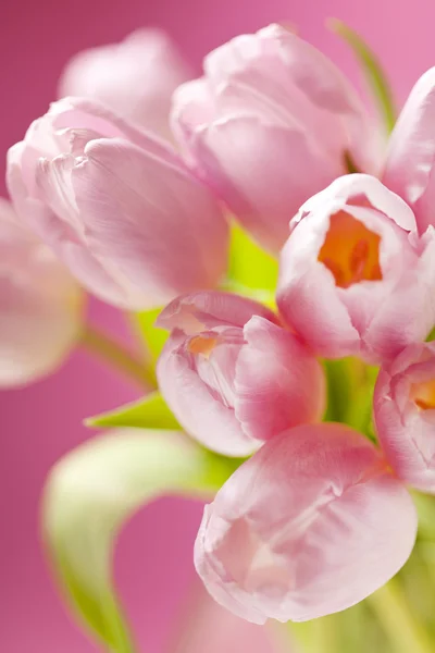 Tulipanes rosados en el jarrón — Foto de Stock