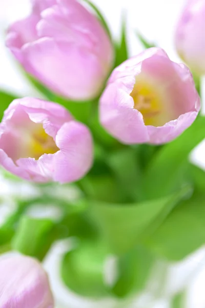 Tulipani rosa nel vaso — Foto Stock